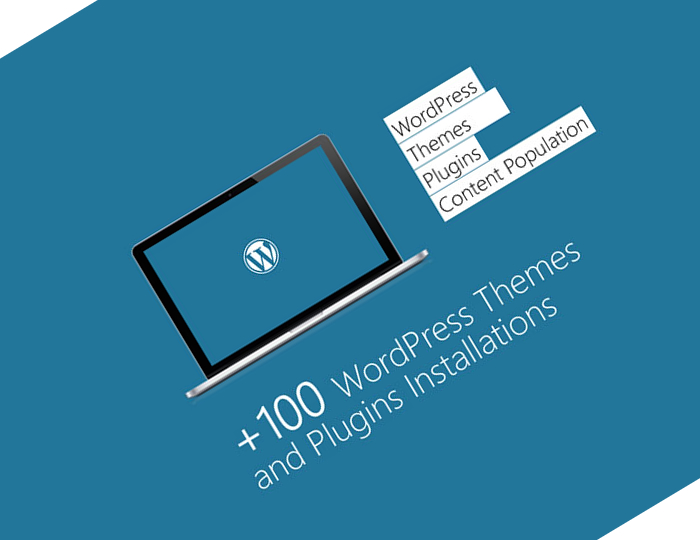 WordPress Theme and Plugin Installation Service - cover